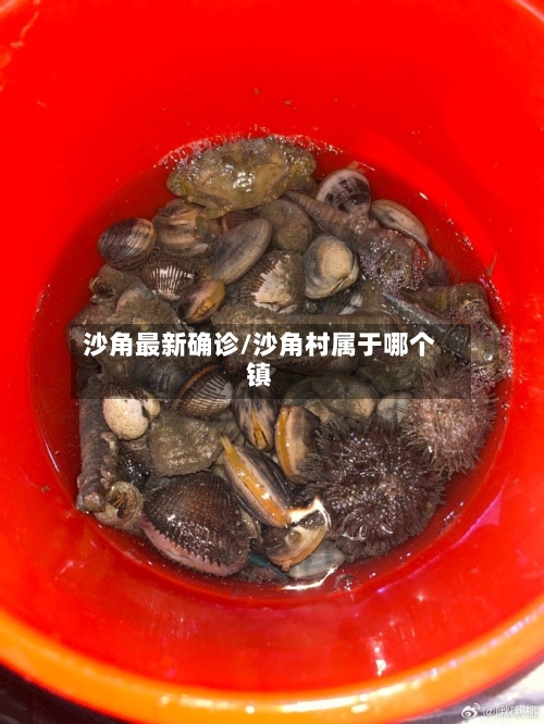 沙角最新确诊/沙角村属于哪个镇-第3张图片