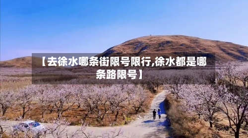【去徐水哪条街限号限行,徐水都是哪条路限号】
