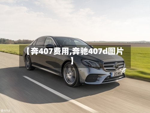 【奔407费用,奔驰407d图片】-第2张图片