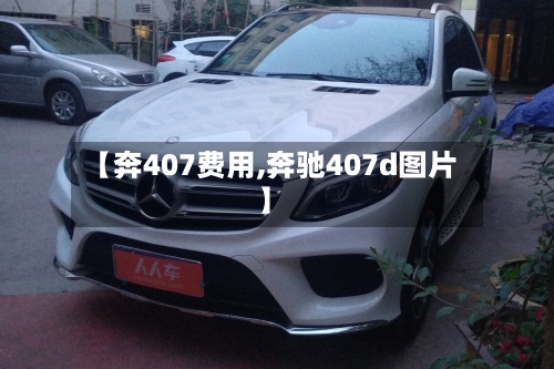 【奔407费用,奔驰407d图片】-第3张图片