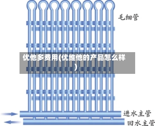 优他多费用(优维他的产品怎么样)