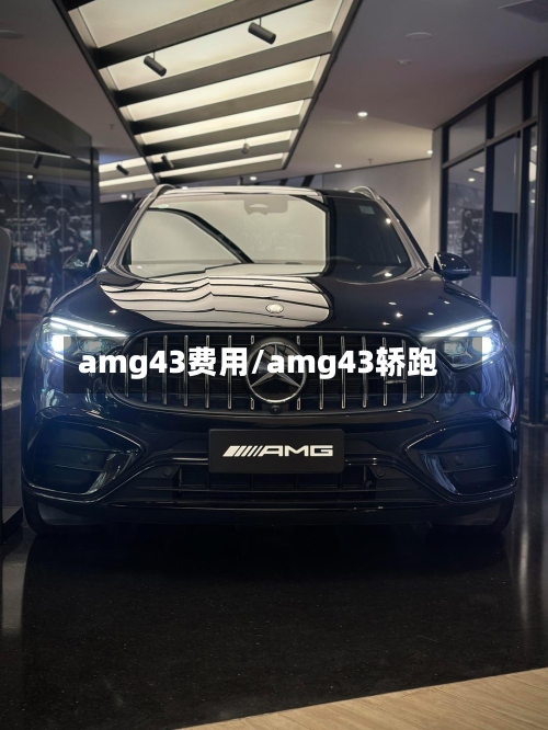 amg43费用/amg43轿跑-第2张图片