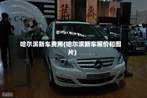 哈尔滨新车费用(哈尔滨新车报价和图片)