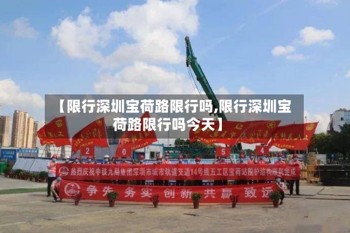 【限行深圳宝荷路限行吗,限行深圳宝荷路限行吗今天】