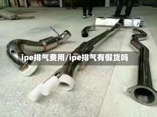 ipe排气费用/ipe排气有假货吗