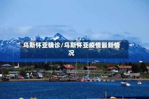 乌斯怀亚确诊/乌斯怀亚疫情最新情况-第3张图片