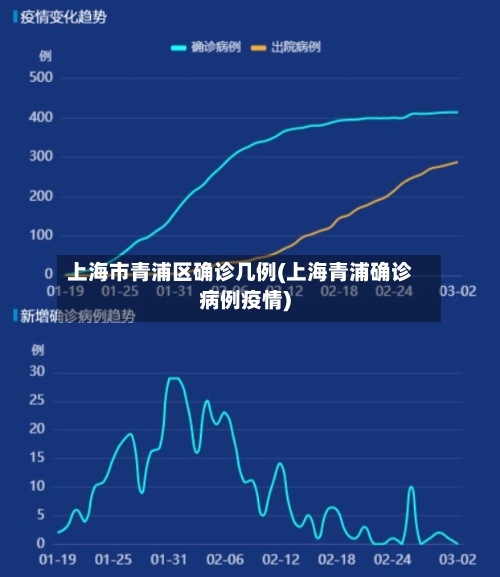 上海市青浦区确诊几例(上海青浦确诊病例疫情)-第2张图片