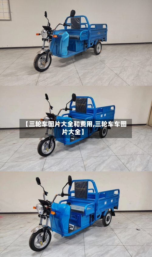 【三轮车图片大全和费用,三轮车车图片大全】-第3张图片