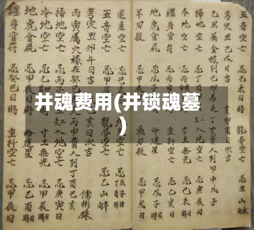 井魂费用(井锁魂墓)