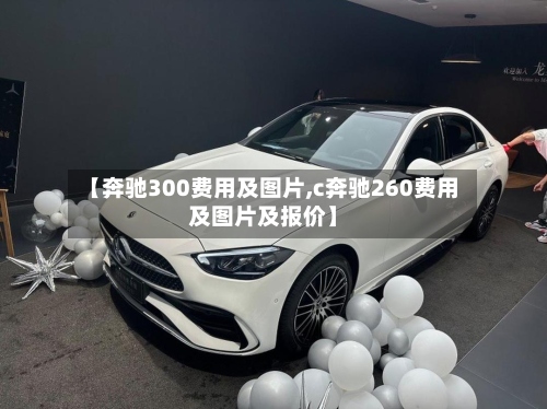 【奔驰300费用及图片,c奔驰260费用及图片及报价】-第2张图片