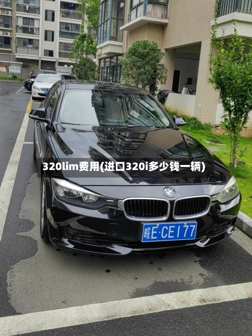 320lim费用(进口320i多少钱一辆)