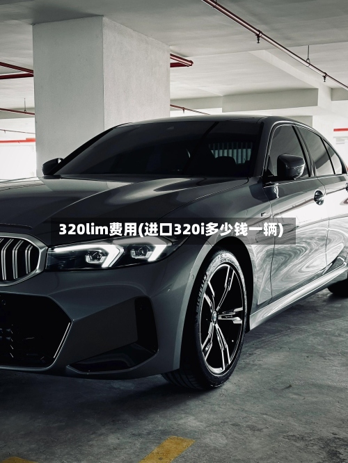 320lim费用(进口320i多少钱一辆)-第3张图片