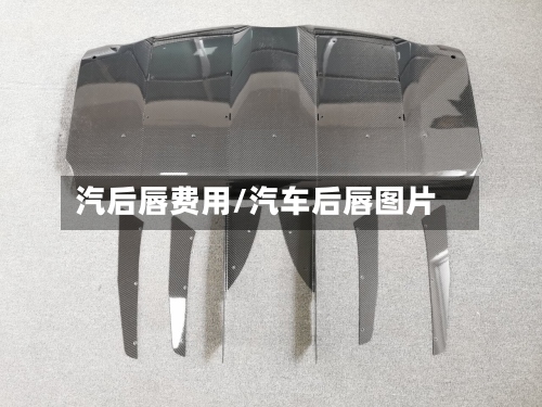 汽后唇费用/汽车后唇图片-第2张图片
