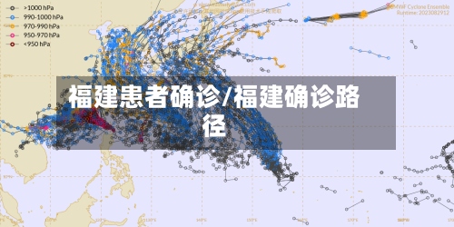 福建患者确诊/福建确诊路径-第2张图片