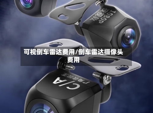 可视倒车雷达费用/倒车雷达摄像头费用