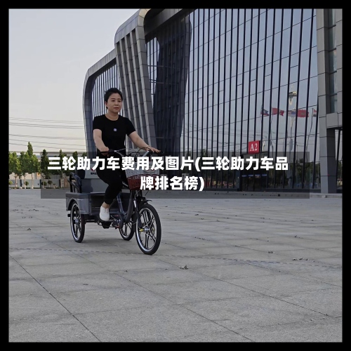 三轮助力车费用及图片(三轮助力车品牌排名榜)-第2张图片