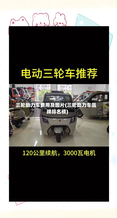 三轮助力车费用及图片(三轮助力车品牌排名榜)