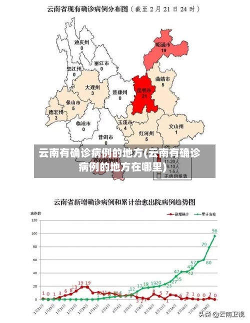 云南有确诊病例的地方(云南有确诊病例的地方在哪里)-第2张图片