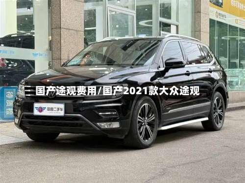 国产途观费用/国产2021款大众途观-第2张图片
