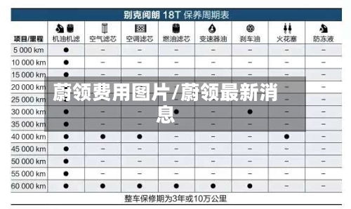 蔚领费用图片/蔚领最新消息-第2张图片