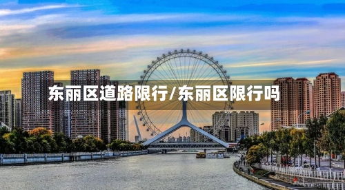 东丽区道路限行/东丽区限行吗