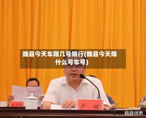魏县今天车限几号限行(魏县今天限什么号车号)