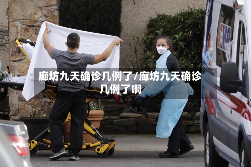 廊坊九天确诊几例了/廊坊九天确诊几例了啊-第2张图片