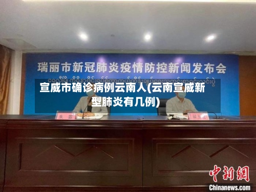 宣威市确诊病例云南人(云南宣威新型肺炎有几例)-第2张图片