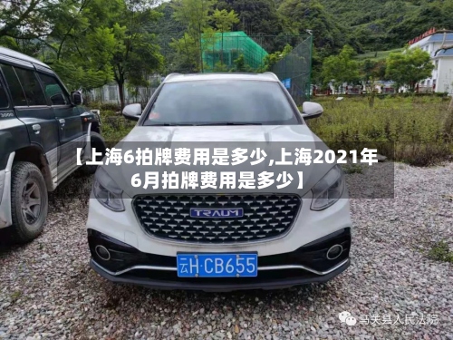 【上海6拍牌费用是多少,上海2021年6月拍牌费用是多少】