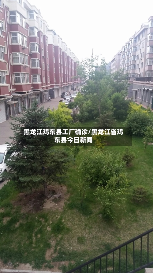 黑龙江鸡东县工厂确诊/黑龙江省鸡东县今日新闻-第2张图片