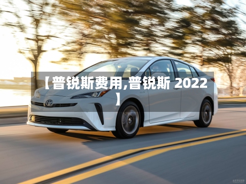 【普锐斯费用,普锐斯 2022】-第3张图片