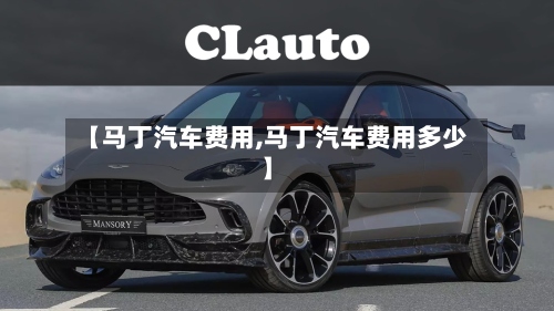 【马丁汽车费用,马丁汽车费用多少】-第2张图片