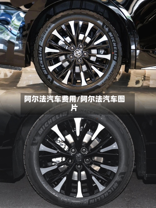 阿尔法汽车费用/阿尔法汽车图片-第3张图片