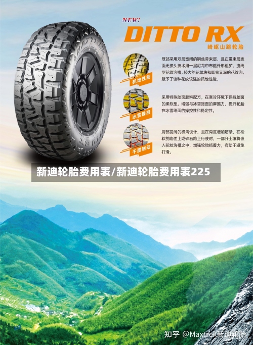 新迪轮胎费用表/新迪轮胎费用表225