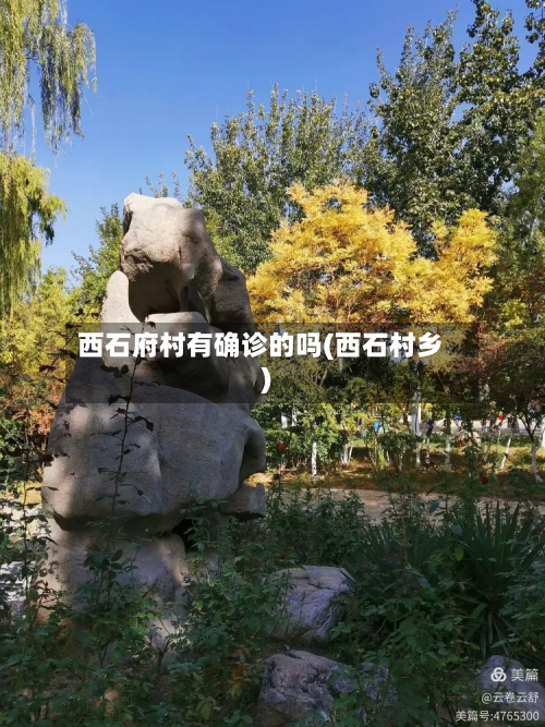 西石府村有确诊的吗(西石村乡)