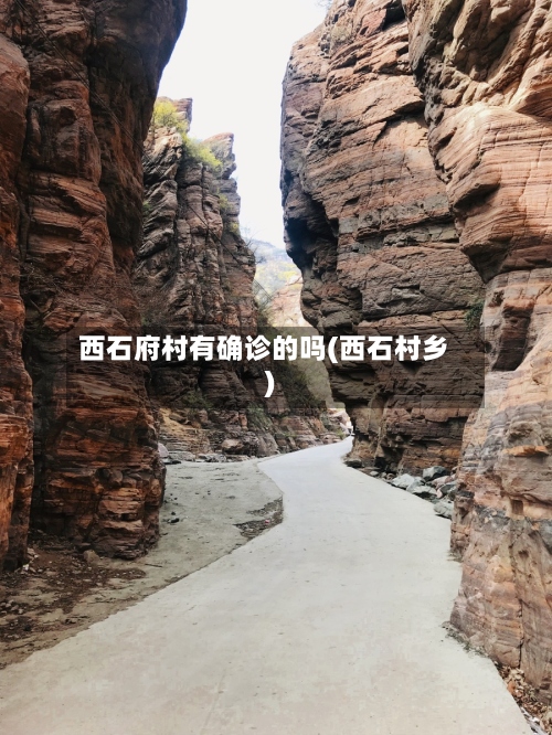 西石府村有确诊的吗(西石村乡)-第3张图片