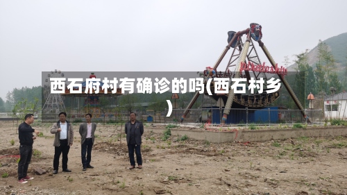 西石府村有确诊的吗(西石村乡)-第2张图片