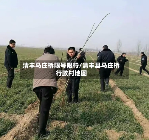 清丰马庄桥限号限行/清丰县马庄桥行政村地图-第2张图片