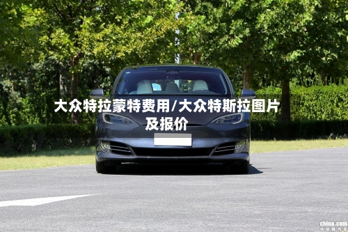 大众特拉蒙特费用/大众特斯拉图片及报价