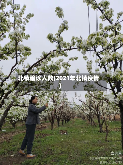 北镇确诊人数(2021年北镇疫情)