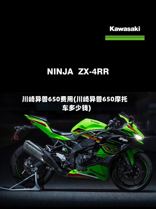川崎异兽650费用(川崎异兽650摩托车多少钱)