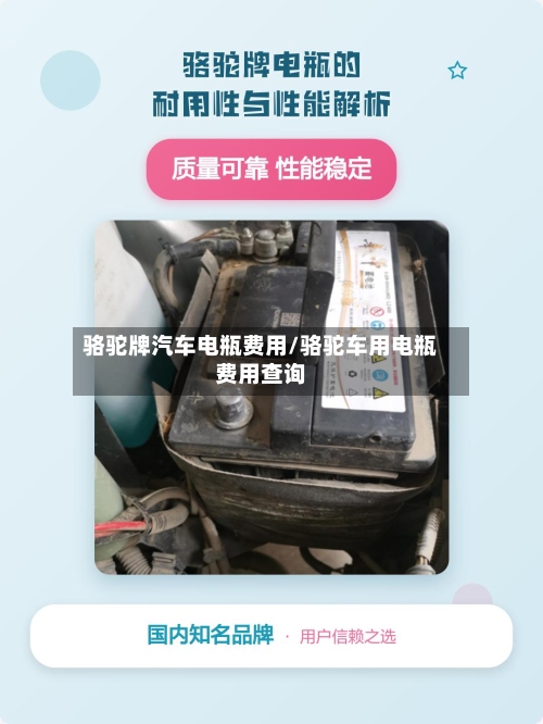 骆驼牌汽车电瓶费用/骆驼车用电瓶费用查询-第3张图片