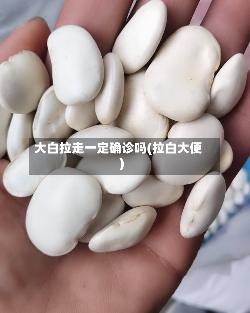 大白拉走一定确诊吗(拉白大便)-第2张图片