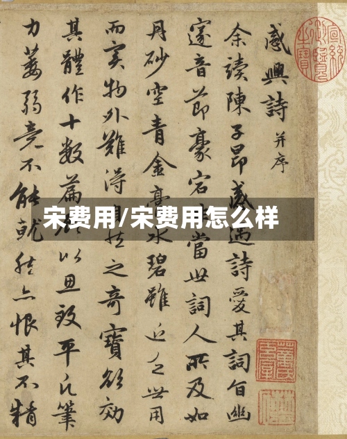 宋费用/宋费用怎么样-第2张图片