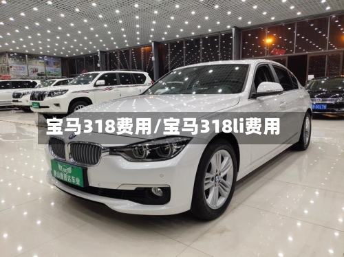 宝马318费用/宝马318li费用-第2张图片