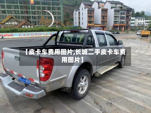 【皮卡车费用图片,长城二手皮卡车费用图片】-第2张图片