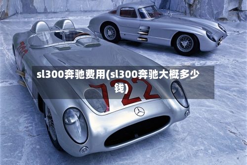 sl300奔驰费用(sl300奔驰大概多少钱)-第2张图片