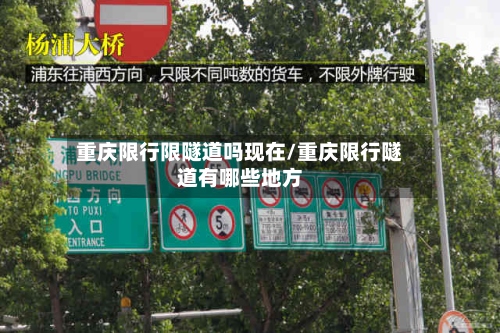 重庆限行限隧道吗现在/重庆限行隧道有哪些地方