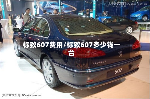 标致607费用/标致607多少钱一台-第2张图片