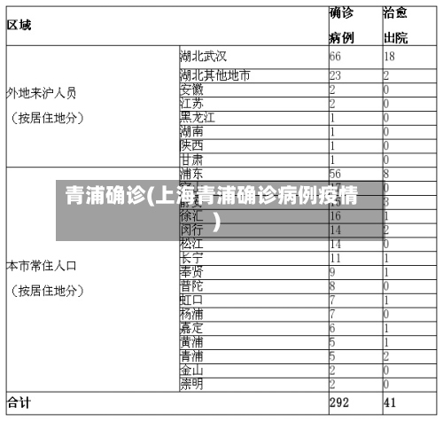 青浦确诊(上海青浦确诊病例疫情)-第2张图片